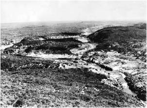 Ref No: KNP004 Titel: Kruger National Park width=230